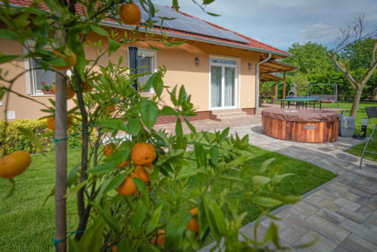 Sunny Garden Pihenohaz Villa Siófok Buitenkant foto